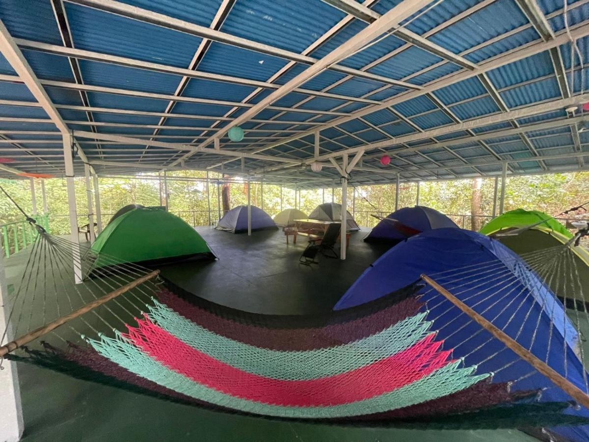 Corcovado Adventures Hostel Drake Bay Exterior photo
