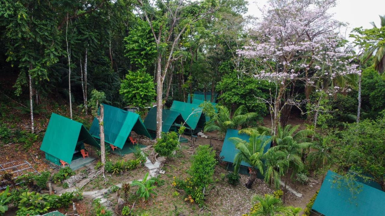 Corcovado Adventures Hostel Drake Bay Exterior photo