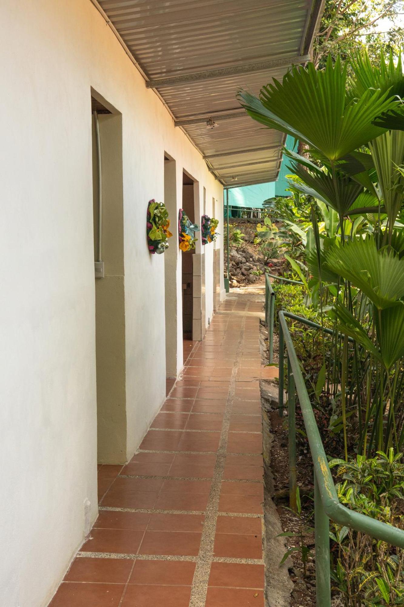 Corcovado Adventures Hostel Drake Bay Exterior photo