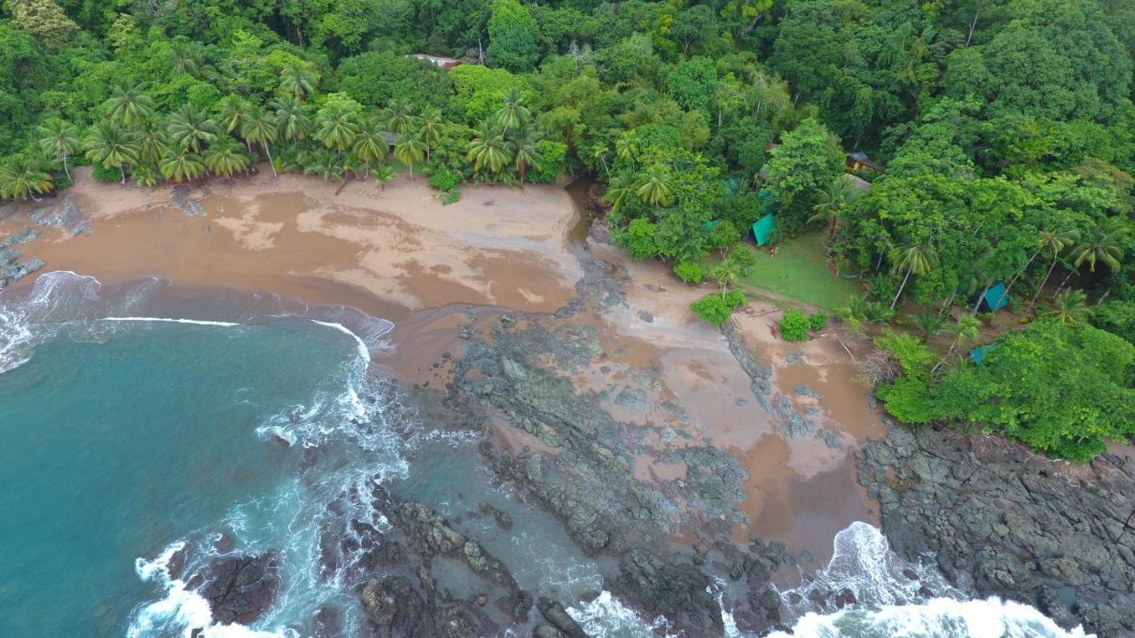 Corcovado Adventures Hostel Drake Bay Exterior photo