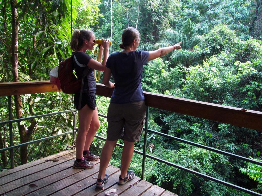 Corcovado Adventures Hostel Drake Bay Exterior photo